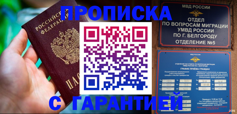 прописка для работы в Звенигово